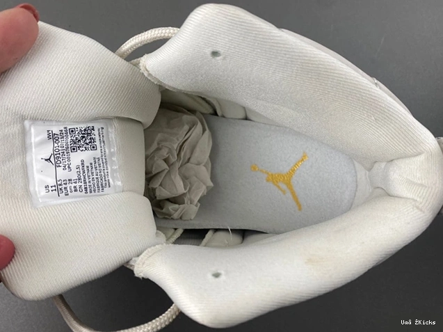 12 “Phantom” Jordan FD9101-007 737 Air DailyWear 1107